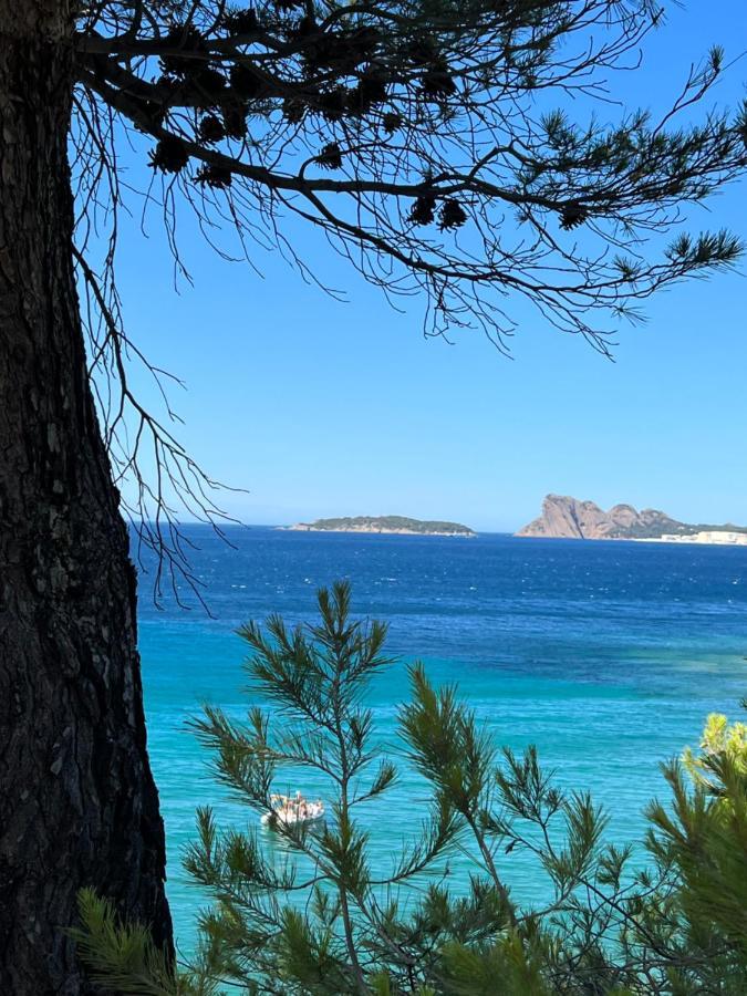 Appartement Entre Village Et Plages. Saint-Cyr-sur-Mer Zewnętrze zdjęcie